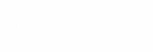 logo_-_Copy__8_-removebg-preview